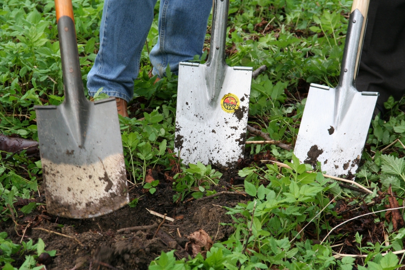 pepiniere-LA ROQUEBRUSSANNE-min_work-lawn-flower-tool-green-backyard-1103633-pxhere.com